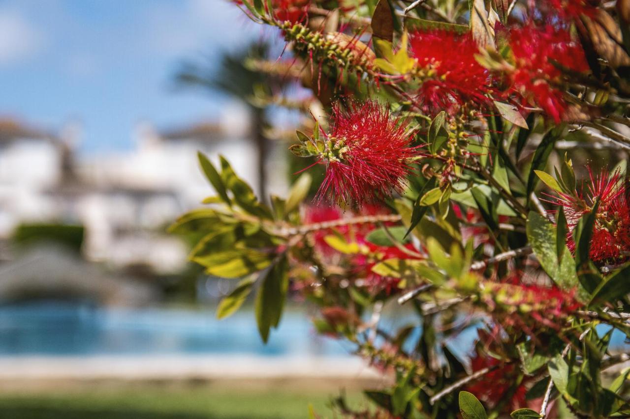 Avalon Apartman Jávea Kültér fotó